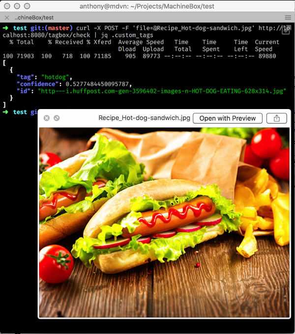 machine learning hotdog detection, detect objects automatically by learning the software to do so